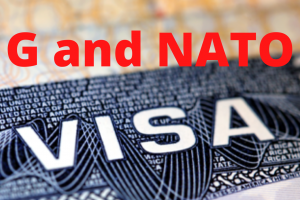 G Visa and NATO Visa