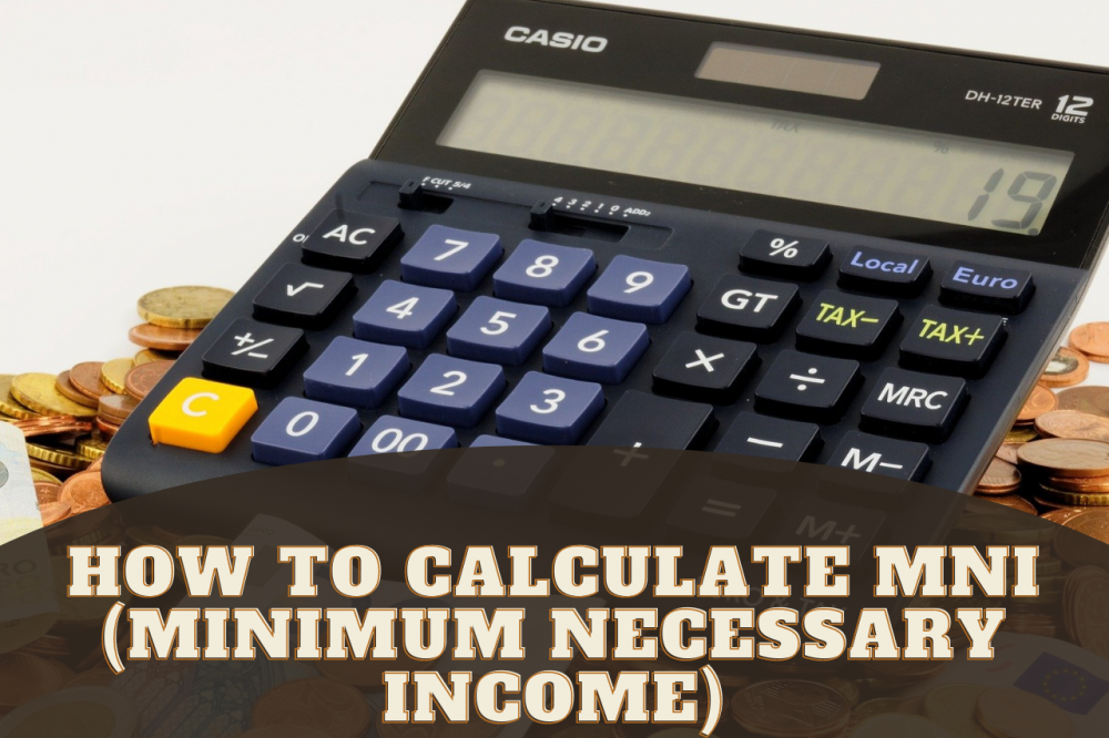 How to Calculate MNI (Minimum Necessary Income)