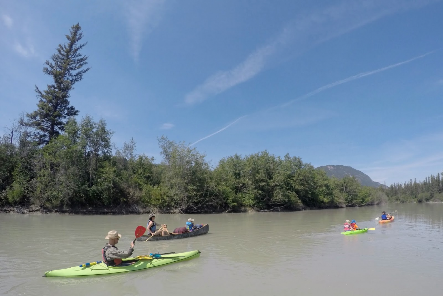 27 Best Fun Things To Do In Tri Cities WA 