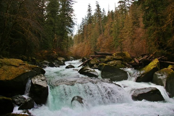 25 Best & Fun Things To Do In Forks (WA) - Immigly